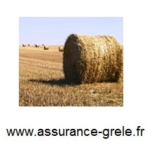 assurance grele balle de paille