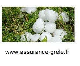 assurance grele grelons