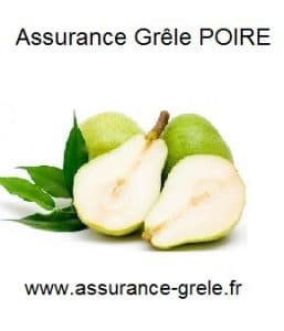 assurance grele poire