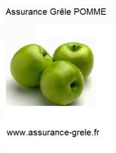 assurance grele pomme