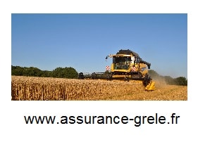 assurance grele recolte