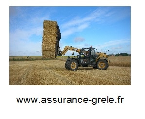 assurance grele recolte